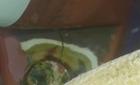 20150821_104242.jpg