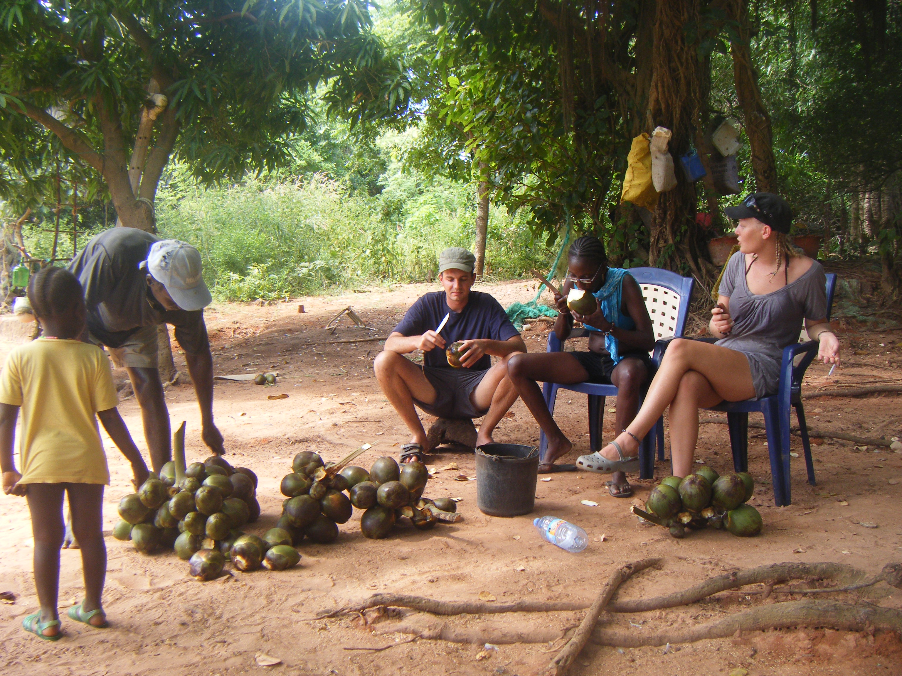 Fruits a Ponta de Caio